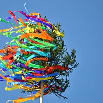 2017 - Stavění májky