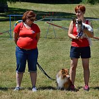 2017 - ZKO Koloveč aneb pes v akci