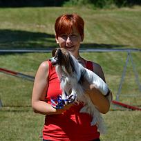 2017 - ZKO Koloveč aneb pes v akci