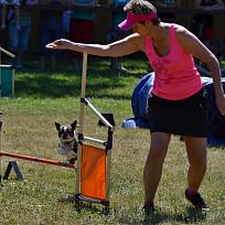 2017 - ZKO Koloveč aneb pes v akci