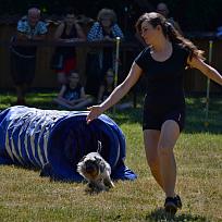 2017 - ZKO Koloveč aneb pes v akci