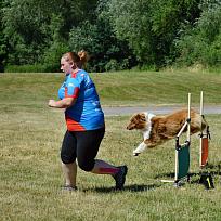 2017 - ZKO Koloveč aneb pes v akci