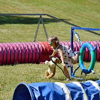 2017 - ZKO Koloveč aneb pes v akci