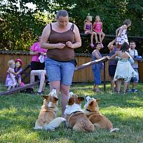 2017 - ZKO Koloveč aneb pes v akci