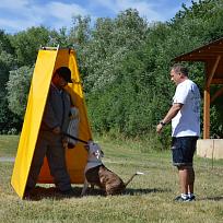 2017 - ZKO Koloveč aneb pes v akci