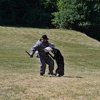 2017 - ZKO Koloveč aneb pes v akci