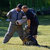 2017 - ZKO Koloveč aneb pes v akci