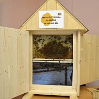 Výstava v ZŠ Koloveč