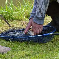 2017 - Podzimní rybářské závody