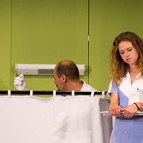 2017 - Divadelní představení 