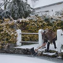 2018 - Masopustní průvod