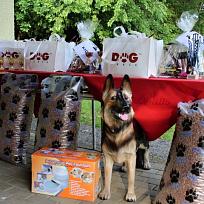 2018 - Závody Kynologického klubu Koloveč