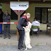 2018 - Závody Kynologického klubu Koloveč