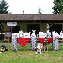 2018 - Závody Kynologického klubu Koloveč