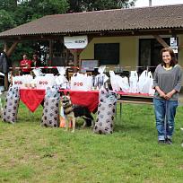 2018 - Závody Kynologického klubu Koloveč