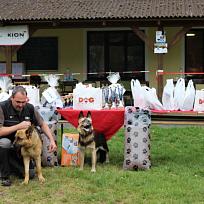 2018 - Závody Kynologického klubu Koloveč