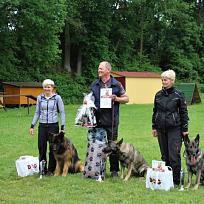 2018 - Závody Kynologického klubu Koloveč