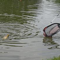 2018 - Jarní rybářské závody