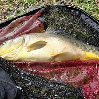 2018 - Jarní rybářské závody