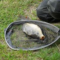 2018 - Jarní rybářské závody