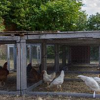 2018 - Kolovečská pouť