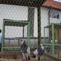 2018 - Kolovečská pouť