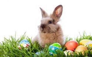 Velikonoční odpoledne s dětmi v Kolovči