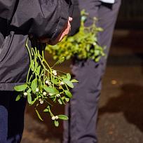 2018 - Slavnostní rozsvícení vánočního stromu v Kolovči