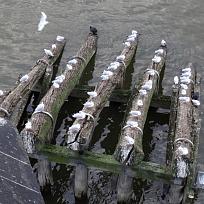 2018 - Zájezd do Prahy