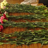 2019 - Myslivecký ples v KD Koloveč