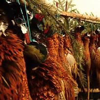 2019 - Myslivecký ples v KD Koloveč