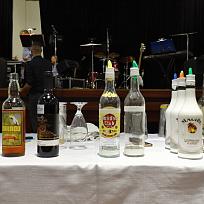 2019  - Ples městyse Koloveč