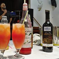 2019  - Ples městyse Koloveč