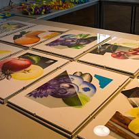 2019 - Jarní výstava v KD Koloveč