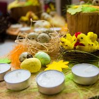 2019 - Jarní výstava v KD Koloveč