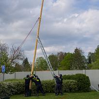 2019 - Stavění májky 