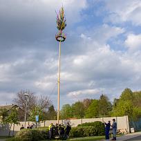 2019 - Stavění májky 