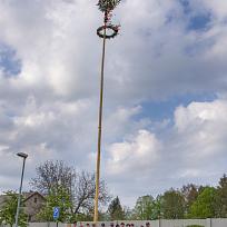 2019 - Stavění májky 