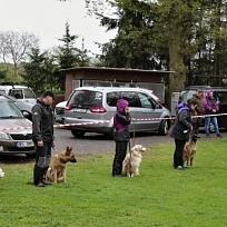 2019 - Kynologické závody o Kolovečský pohár
