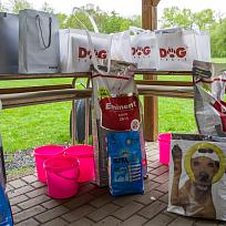 2019 - Kynologické závody o Kolovečský pohár