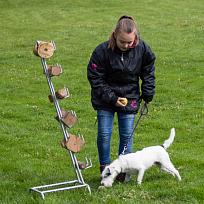 2019 - Kynologické závody o Kolovečský pohár