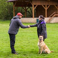 2019 - Kynologické závody o Kolovečský pohár