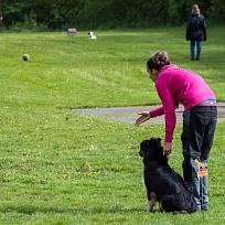 2019 - Kynologické závody o Kolovečský pohár