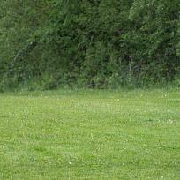 2019 - Kynologické závody o Kolovečský pohár