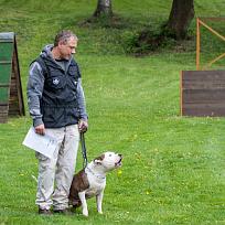 2019 - Kynologické závody o Kolovečský pohár