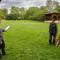 2019 - Kynologické závody o Kolovečský pohár