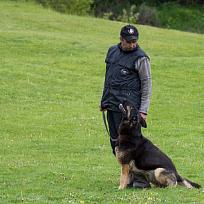 2019 - Kynologické závody o Kolovečský pohár