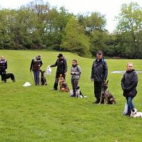 2019 - Kynologické závody o Kolovečský pohár
