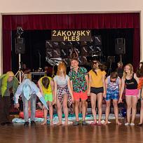2019 - Žákovský ples ZŠ Koloveč