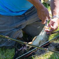 2019 - Jarní rybářské závody
